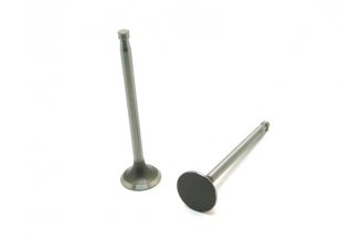 Z50105.0409: Exhaust valve EX Z-50 Z-25-VENTIL-EX