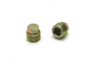 55010219: Oil pan plug M22x1,5 CZ