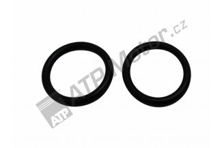 Z5096.8894: Sealing ring