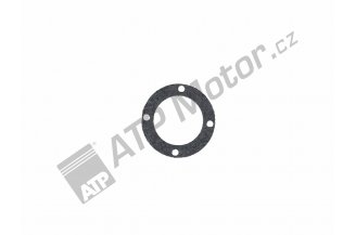 Z253750.21: Gasket