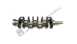 Crankshaft 4V forget integrated counterweight balanced AGS *