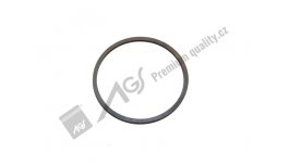 Oil and fuel filter cover gasket AGS