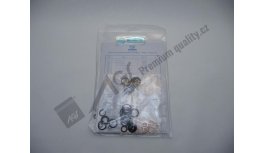 Injection pump gasket set PP4M/6M AGS